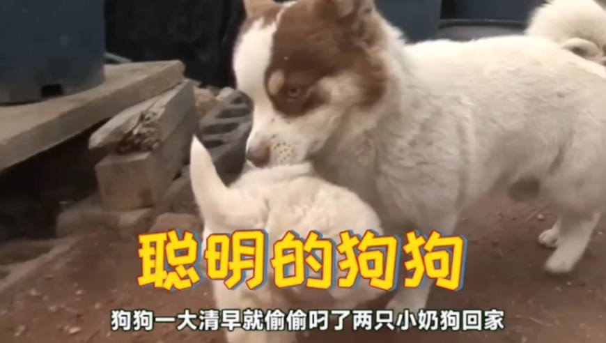 香港6合开奖结果+开奖2025,曝金秀贤只在家约会,完美答案解释落实_标清版V4.97